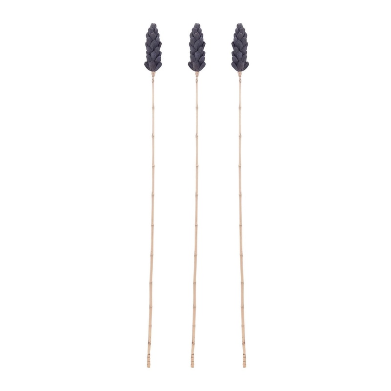 Accessories Ornamental Accessory