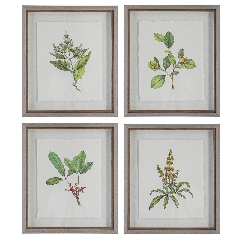 Wildflower Study Art