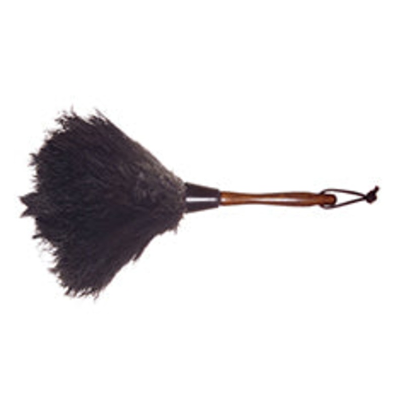 13 Ostrich Feather