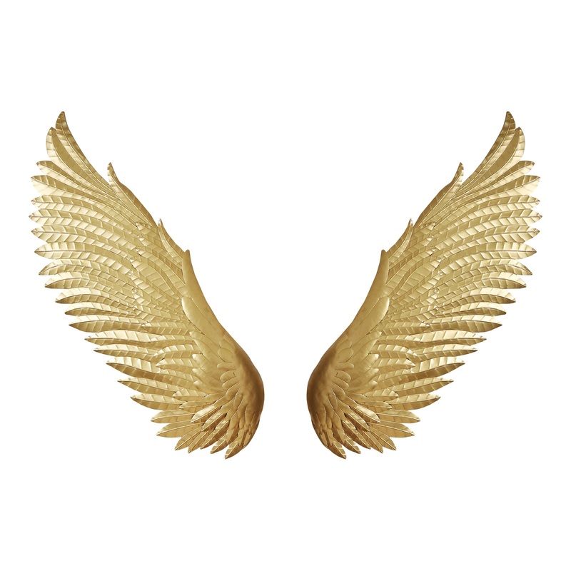 Wings Wall Dcor